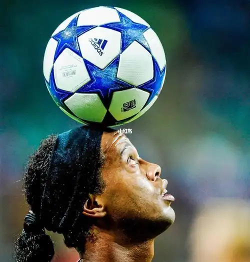 德约科维奇 德约科维奇