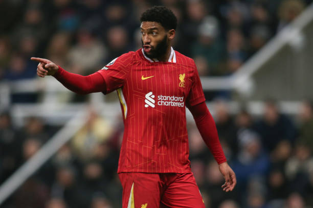 萨博尼斯的 萨博尼斯的