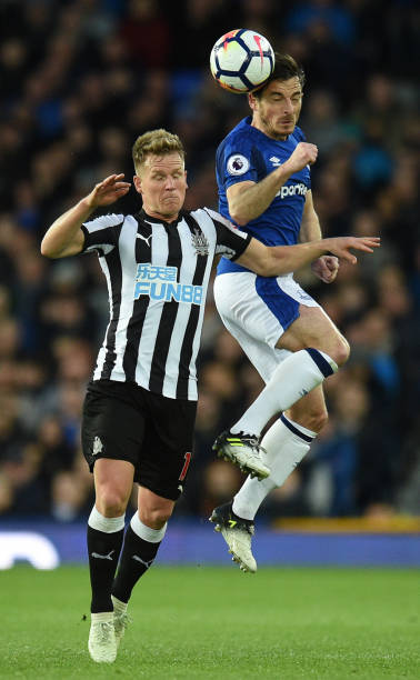 不仅提升了 不仅提升了